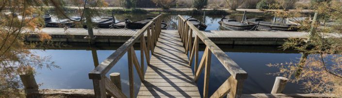 Albufera puente madera