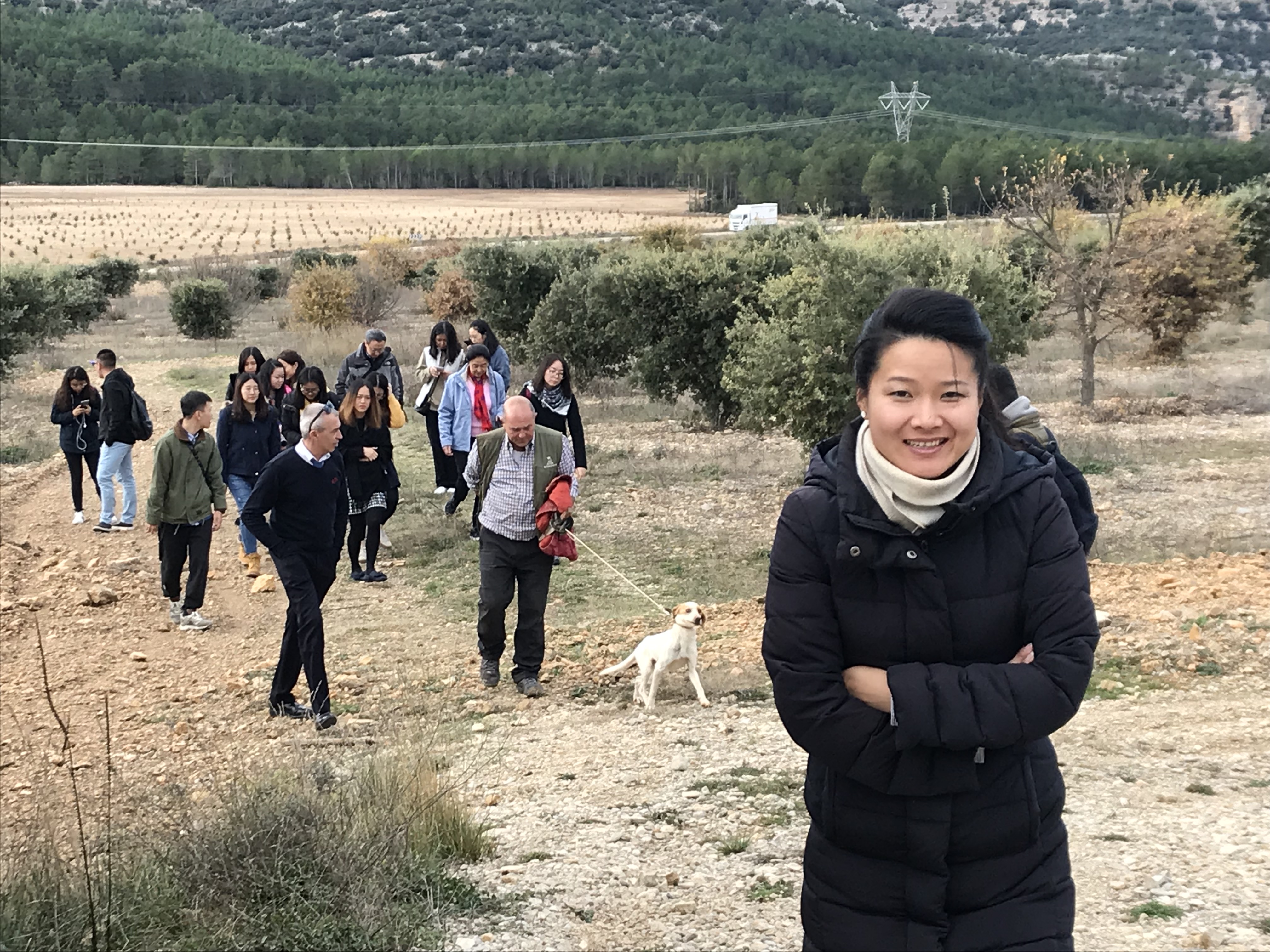 Turista china visitando olivos en la Comunitat Valenciana