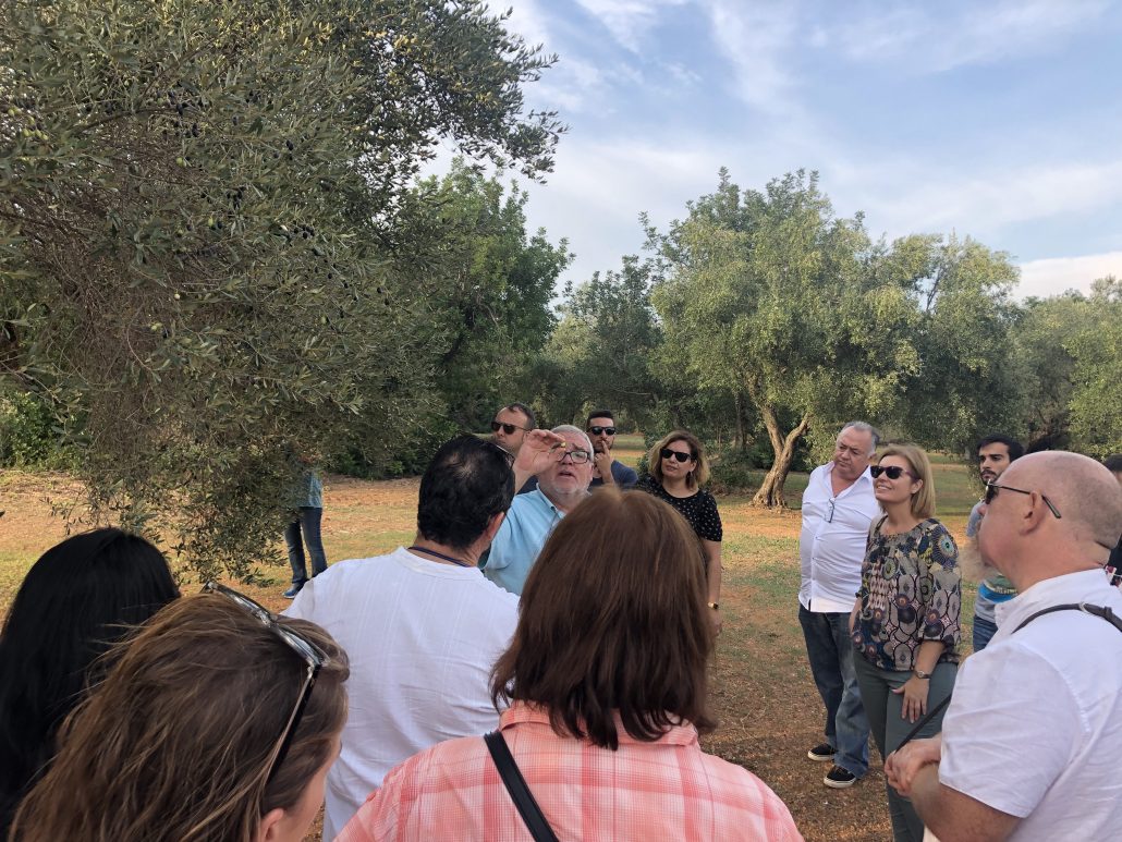 Visita de campo del I Curso de Turismo Gastronómico de la Comunitat Valenciana, 2019