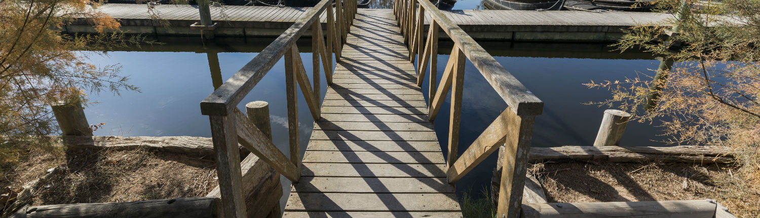 Imagen de una pasarela de madera en la Albufera de València