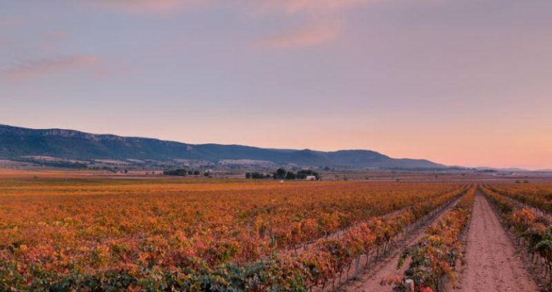 Atardecer en Terres dels Alforins