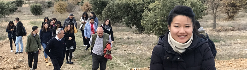 Turista china visita olivos en la Comunitat Valenciana 1500x430